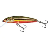 Salmo Minnow 9F 9cm - 10 gram - floating rainbow dace