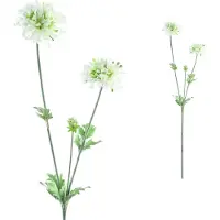 Ptmd Garden Flower Scabiosa Kunsttak - 35 x 15 x 68 cm - Wit