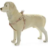 Pet Products Envy Borsttuig Hula Hula - Oranje