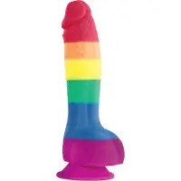 NSNovelties Colour Pride Edition Realistische Dildo - Regenboog