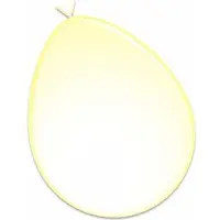 Witbaard Ballonnen transparant 50 stuks 30 cm