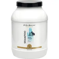 Iv San Bernard Trad Talco Shampoo 3l