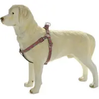 Pet Products Beeztees Envy borsttuig hond Phantom - Rood 46-75 cm