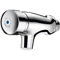 Delabie Inbouw Douchekraan TEMPOSTOP Koud water kraan Chroom Nozzle length 50 mm 744001