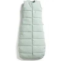 ErgoPouch Jersey Slaapzak - 2,5 Tog - Slaapzak zonder mouwen - Slaapzakken - Slaapzak Kind - Slaapzak 90 cm - Slaapzak 8-24 md - Sage