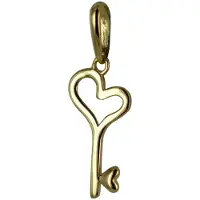 New Bling 9NBSAM-G200217 Gouden Hangertje - Dames - Sleutel - 12,7 x 6,6 mm - 14 Karaat - Bedel - Goud