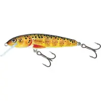 Salmo Minnow 9F - 9cm - 10 gram floating orange trout