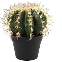 Countryfield Cactus - groen - L18xB18xH30CM - Kunstplant