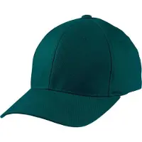 Myrtle beach Volwassenen Unisex Original Flexfit Cap (Donkergroen)