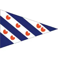 Talamex Friese puntvlag