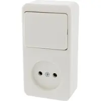 Berker Opbouw Combinatie - Wisselschakelaar en Stopcontact - Polarwit
