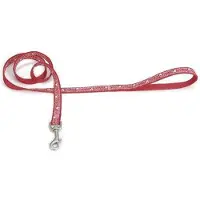 Beeztees Nylon looplijn Bones. Rood.
