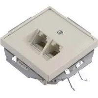 Berker S1 RJ-45 wandcontactdoos - 2 voudig - Inbouw - Wit