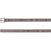 Trixie Luxe halsband - 39 tot 42 cm - 18 mm - Taupe