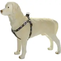 Pet Products Beeztees Envy Borsttuig hond Wild forever zwart 60-100 cm