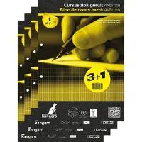Kangaro cursusblok - A4 - ruit - 4x8mm - 90 grams - 2-gaats - K-5402-4