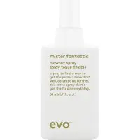 Evo Mister