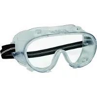 Cerva HOXTON Goggles