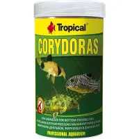 Tropical Corydoras (100ml) - Aquarium Visvoer