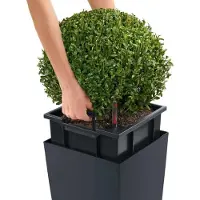 Lechuza Zelfwatergevende Bloempot