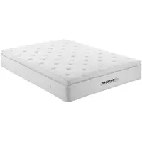 Vente-unique Brandwerend matras met pocketveren en bijpassende dekmatras DELICE van DREAMEA HOTEL - 140 x 190 cm