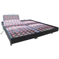 Vente-unique Elektrische bedbodem 2x78 met contactplaatjes kleur zwart hout van DREAMEA - 2x90x200cm - motoren OKIN