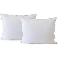 Elegance Goodnight Aanbieding Kussen Microvezel - Hoofdkussen 60x70 cm - 2 Stuks hoofdkussens