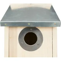 Trixie Spreeuw Grenenhout