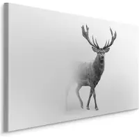 Karo-art Schilderij - Hert in zwart-wit, Premium print, scherp geprijsd