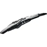 Roland AEROPHONE PRO AE-30