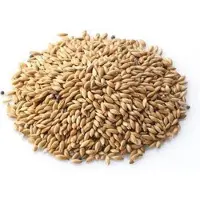 Konacorn Witzaad 18 KG