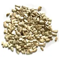 Konacorn Witte zonnebloempitten 1 KG