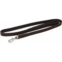 Topmast Leren Hondenriem Hondenlijn Donkerbruin Softleer 180 cm L |12 mm
