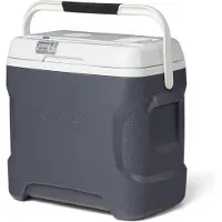 Igloo Iceless 28 - Elektrische koelbox (kan zowel koelen als verwarmen) - 26 Liter - Grijs