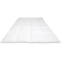 Cassenz REMBRANDT | donzen dekbed | 100% ganzendons | Winter - warmteklasse 2 - 140/220cm - 530gr.