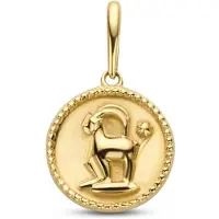 New Bling 9NBG-0278 Gouden Sterrenbeeld - Steenbok - 10 mm Doorsnee - 14 Karaat - Goud