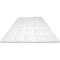 Cassenz DA VINCI Dekbed | 100% Mazurische ganzendons | Tencel/zijde tijk | Herfst/Lente - warmteklasse 3 - 240/200cm - 650gr.
