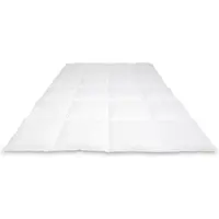 Cassenz REMBRANDT | donzen dekbed | 100% ganzendons | Winter - warmteklasse 2 - 200/220cm - 750gr.
