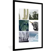 PosterMonkey Fotolijst incl. Poster - Schotse Hooglander - - Cactus - Planten - 80x120 cm - Posterlijst