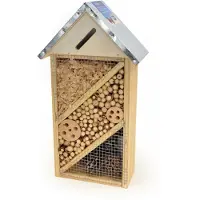 Laroy Insectenhuis - Alvin
