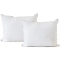 Elegance Hoofdkussen Latex - Kussen 60x70 cm - 2 Stuks Hoofdkussens