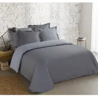 Vision Bicolor - Tweezijdig omkeerbaar Dekbedovertrekset - 100% katoen: zacht en soepel - Kingsize - Dekbedovertrek 260 x 240 cm met 2 bijhorende slopen - Grijs / Lichtgrijs - Oekotex gecertificeerd