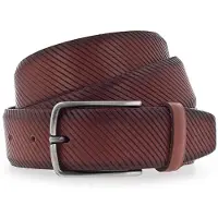 Vanzetti Riem bruin