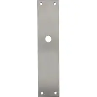 Intersteel renovatieschild rechthoekig 250x55x2mm blind - RVS