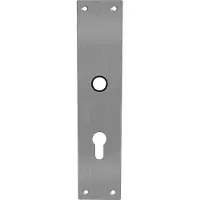 Intersteel renovatieschild rechthoekig 250x55x2mm profielcilindergat 72mm - RVS