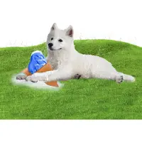 Coolpets Cooling Ice Penguin