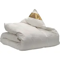 Ten Cate 100% Ganzendonzen 4-Seizoenen Dekbed 200x200 cm