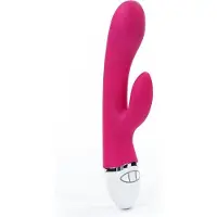 Lovetoy Vibe Dreamer USB Rose Red