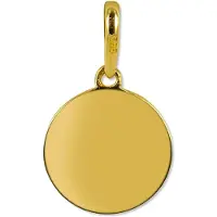 New Bling 9NBSAM-G210248 Gouden Hangertje - Dames - Rondje - 10 mm Doorsnee - Glad - 14 Karaat - Goud