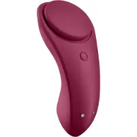 Satisfyer Sexy Secret Panty Vibrator met app-bediening 1 St